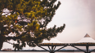 びわ湖 なぎさ公園