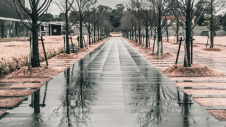 古代出雲歴史博物館
