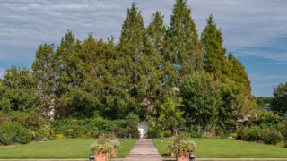 庭園の径と芝生