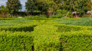 庭園の径と芝生