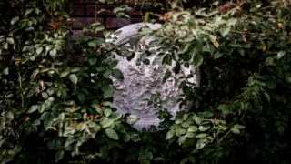 庭園のレリーフ