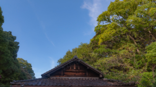 木々と青空と日本家屋