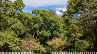神社 古神札納め所