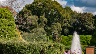 庭園の樹木と噴水