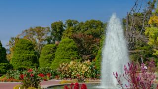 庭園の樹木と噴水