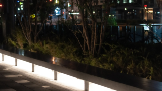 夜の歩道と灯り