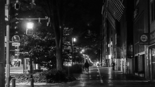 雨上がりの歩道