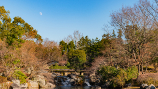 庭園と月