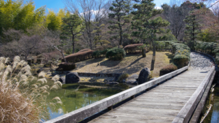 日本庭園と橋