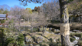 日本庭園