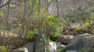 日本庭園内の渓流