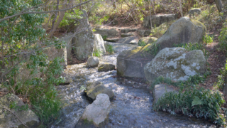 日本庭園内の渓流