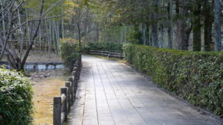 日本庭園の路地