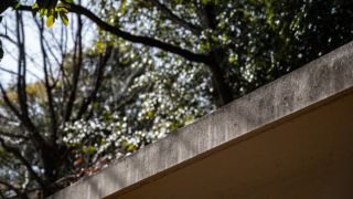 コンクリート製の庇と光を浴びる木々