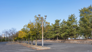 駐車場の並木と街灯
