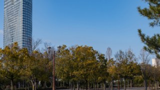 駐車場と高層ビル