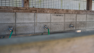 公園内の洗い場